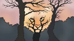 Wat ziet u op deze afbeelding? Een psychologische test die laat zien hoe u de wereld ervaart