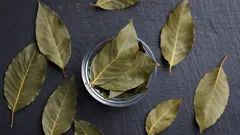 Laurierblad in bad: waarom het wordt aanbevolen en welk effect het heeft