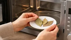 Waarom leggen sommige huisvrouwen een laurierblad in de magnetron?
